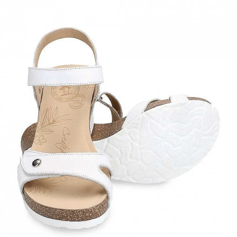 Vrouw Panama Jack Julia Basics