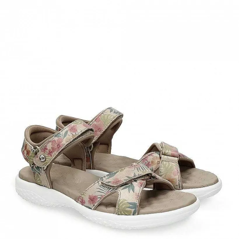Vrouw Panama Jack Noja Tropical