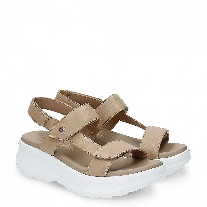 Vrouw Panama Jack Noor