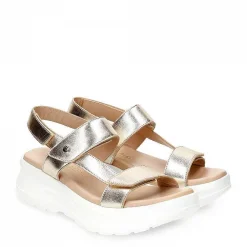Vrouw Panama Jack Noor Shine