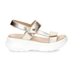 Vrouw Panama Jack Noor Shine