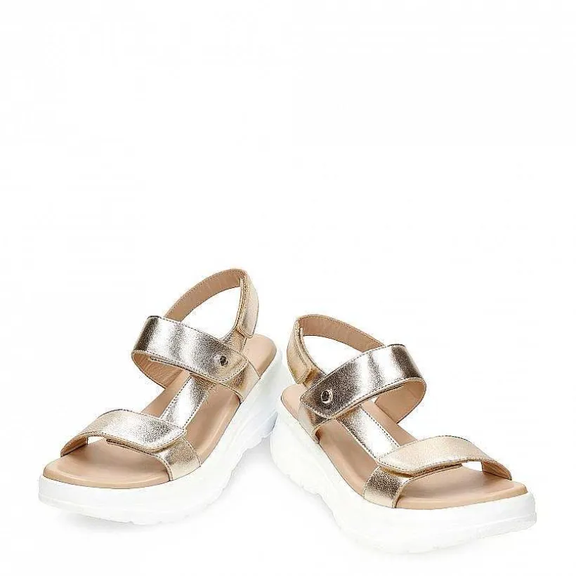Vrouw Panama Jack Noor Shine