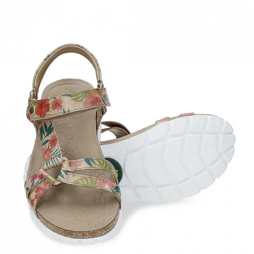 Vrouw Panama Jack Sally Tropical