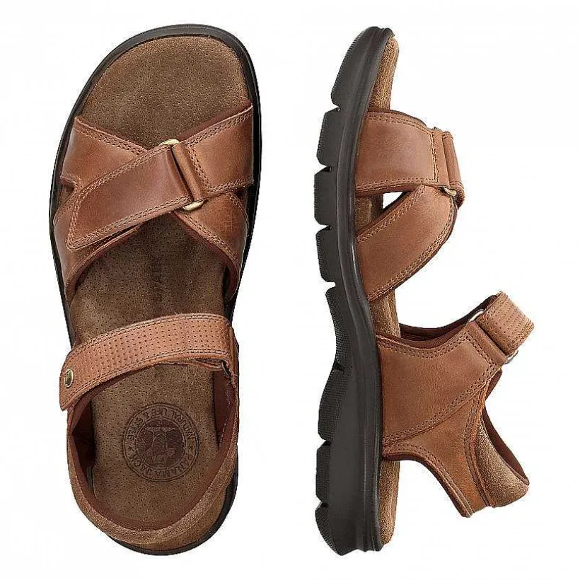 Man Panama Jack Sanders Basics