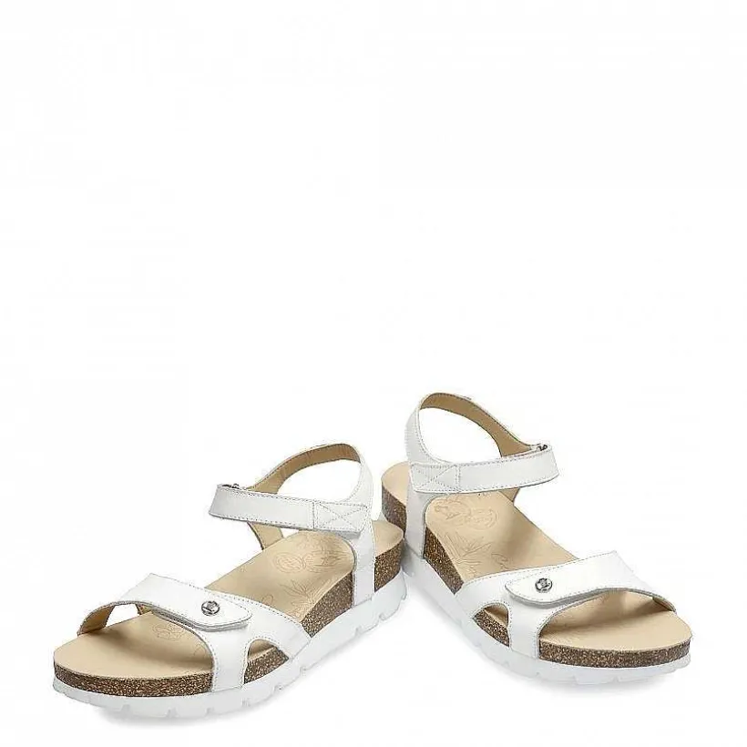 Vrouw Panama Jack Sulia Basics