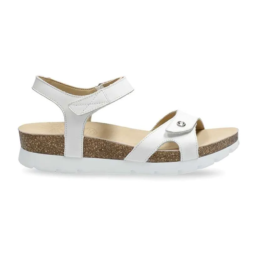 Vrouw Panama Jack Sulia Basics