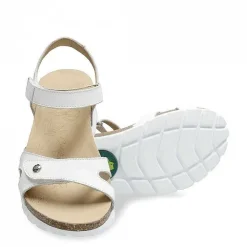Vrouw Panama Jack Sulia Basics