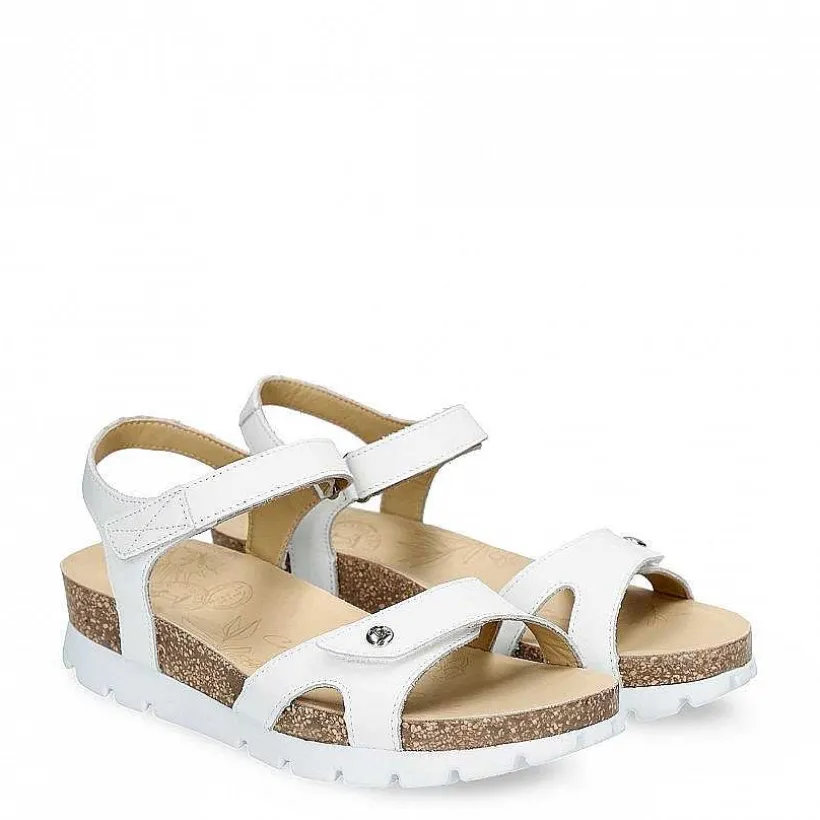Vrouw Panama Jack Sulia Basics