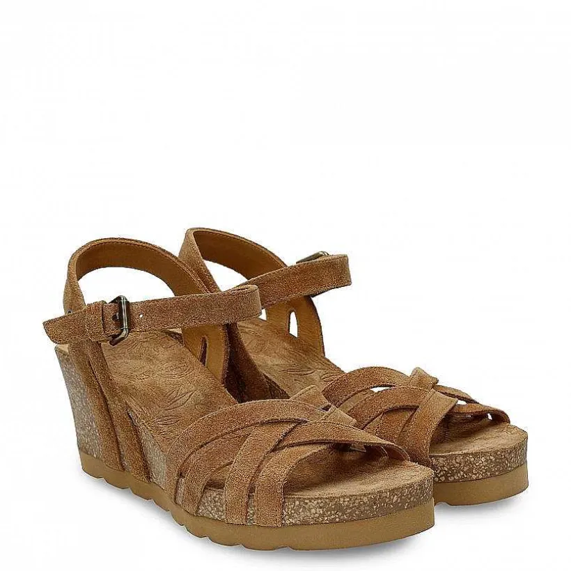 Vrouw Panama Jack Vera